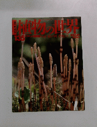 植物の世界　135　11/24号