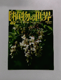 週刊朝日百科　3/26号　植物の世界　49 フジルピナス クローバー