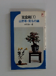 豆盆栽　1　山野草・実もの編　
