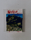 新ハイキング　482号　1995年12月号