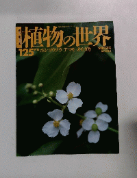 植物の世界　125