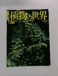 植物の世界　126　9/22 ウェルウィッカ　 ヒノキ