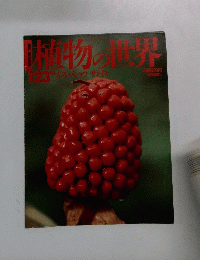 植物の世界　123