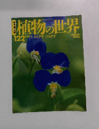 植物の世界122　8/25　イ　ホシクサ ツユクサ