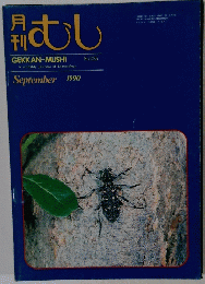 月刊 むし　1990年9月号