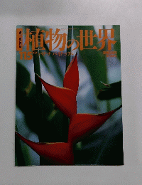 植物の世界　 バナナパイナップル　115　