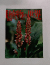 週刊朝日百科　植物の世界　114  6/30号　