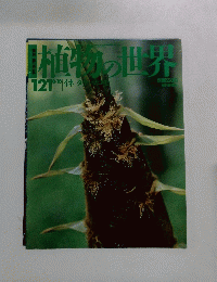 植物の世界　121
