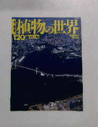 植物の世界　120　8/11号