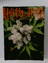 直物の世界　19