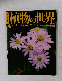 週刊朝日百科　5/8号　植物の世界　4