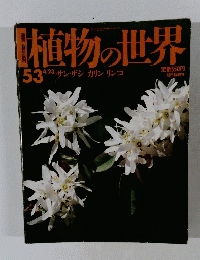 植物の世界　53