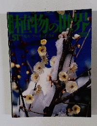 植物の世界　51