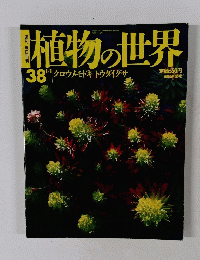植物の世界　38　1/1号　