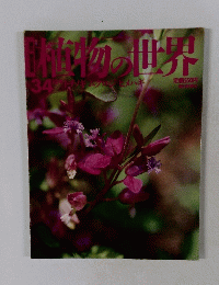 植物の世界　34