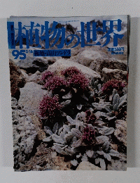 植物の世界 95 2/18  極地・高山ツンドラ