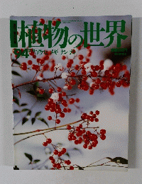 週刊朝日百科　2/11号　植物の世界　94