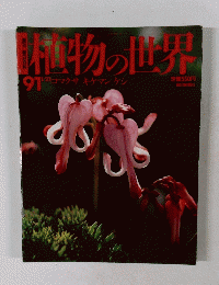 植物の世界　1/21　91 コマクサ キケマン ケン