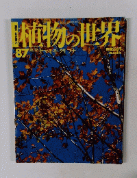 週刊朝日百科 植物の世界 12/17号　87