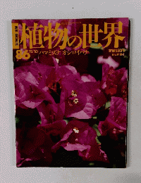 植物の世界　86　ハマミズナ オシロイバナ