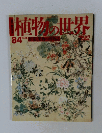 週刊朝日百科 植物の世界 84　11/26号 野菜と果物の博物誌 