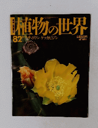 植物の世界　82　11/12号  サボテン ゲッカビジン