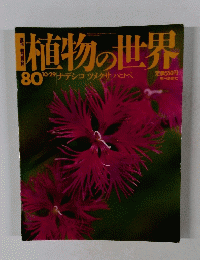 植物の世界　80　10/29 ナデシコ　ツメクサハコベ