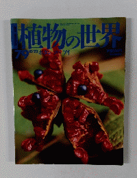 植物の世界　79　10/22  ボタン ソバ アイ