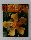 植物の世界　78　10/15号
