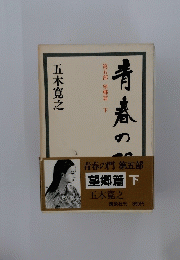 青春の門 　第五部 望郷篇 下