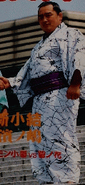 相撲界　1994　10