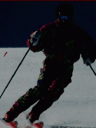 SKIjournal　1993年1月号　No.325