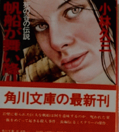 船が舞い降り
