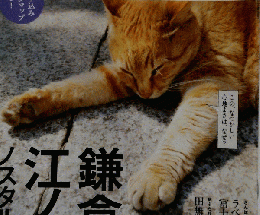 散歩の達人　159　2009年6月号