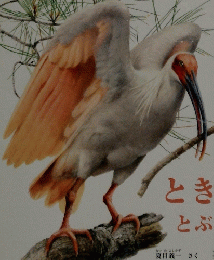 かがぐのとも　2010年9月1日発行