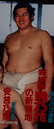 相撲界　3