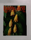 植物の世界　113
