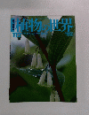 植物の世界  112  6/16