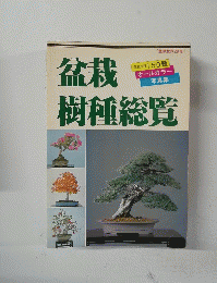 盆栽樹種総覧