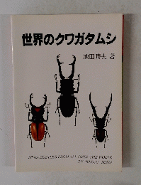 世界のクワガタムシ