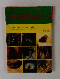 クワガタムシ　II　1992年