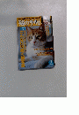 猫の手帖　２００４年7月号