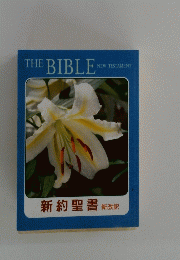 新約聖書 新改訳