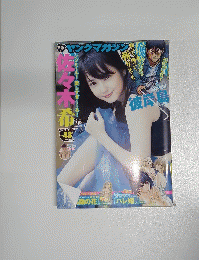 ヤングマガジン　2014年11/10号　No.48