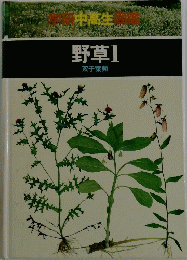 野草　1　双子葉類