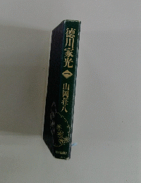 徳川家光 1  