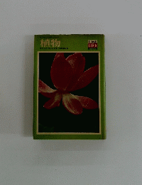 植物
