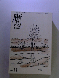 鷹 2007.11