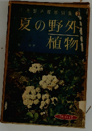 夏の野外植物