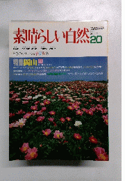 素晴らしい自然　20